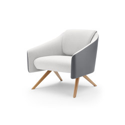 DNA Lounge Chair with Timber legs