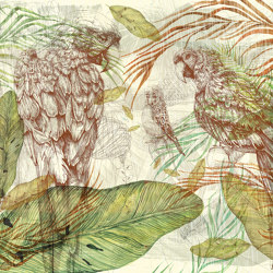 Learning to admire | Parrot song | Wall coverings / wallpapers | Walls beyond