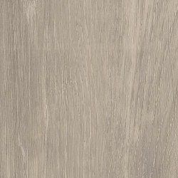 Form Woods - 0,7 mm I Gotland Oak | Synthetic tiles | Amtico