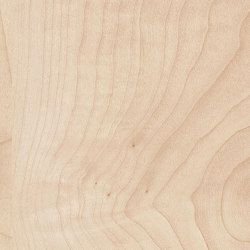 Wild Pear Maple Colour | Wood panels | Pfleiderer