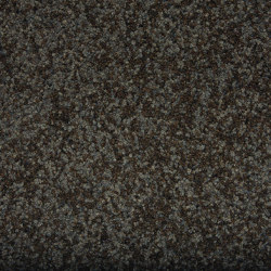 Volta | leo-2 442 | Wall-to-wall carpets | Fabromont AG