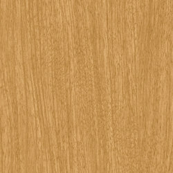 3M™ DI-NOC™ Architectural Finish Dry Wood, DW-1901MT, 1220 mm x 50 m | Synthetic films | 3M