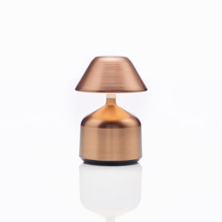Demoiselle Small | Cap | Bronze | Table lights | Imagilights
