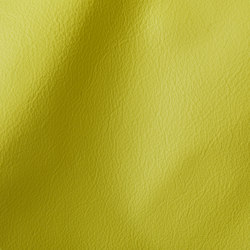 CITY Acid Green | Natural leather | Studioart