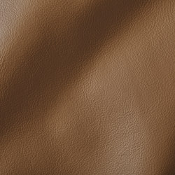 CITY Camel | Natural leather | Studioart