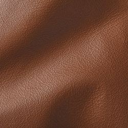 CITY DK Brown | Natural leather | Studioart
