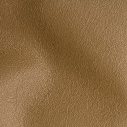 CTY Walnut | Natural leather | Studioart