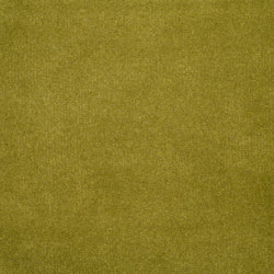 Green - Smooth Velvet | Upholstery fabrics | The Fabulous Group