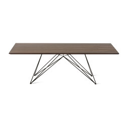 Pegaso Wooden Top Table Th. 30 Mm | Tavoli pranzo | Riflessi