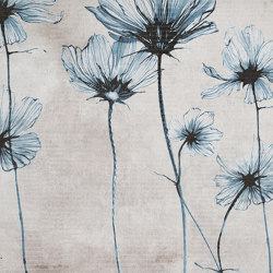 AP Contract | Digital Printed Wallpaper | Blue Daisy DD120515 | Wall coverings / wallpapers | Architects Paper