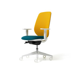 Skin - Task chairs | Sillas de oficina | Diemme