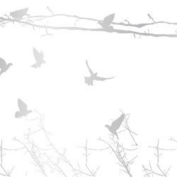 Glossy Pigeons | GP1.02 IS | Wall coverings / wallpapers | YO2