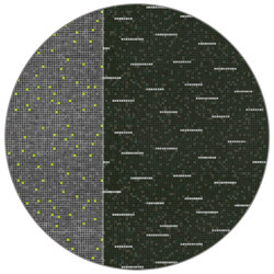 Mosaique | MQ3.02.1 | Ø 350 cm | Rugs | YO2