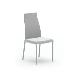 Blitz | Chairs | OZZIO ITALIA