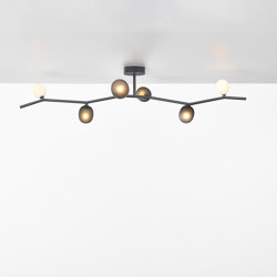 Ivy Ceiling 6 PC1227 | Ceiling lights | Brokis