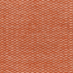 Eagle Eye color 5103 | Rugs | Frankly Amsterdam