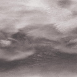 Nouage Rainy Grey | Quadri / Murales | TECNOGRAFICA