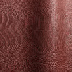 Alteyus 52184 | Natural leather | Futura Leathers