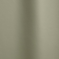 Bizon 141 | Natural leather | Futura Leathers