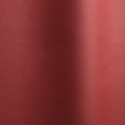 Bizon 165 | Natural leather | Futura Leathers