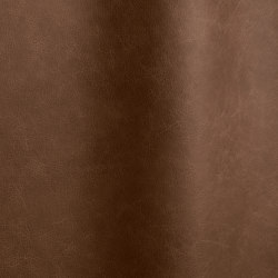 Etna 16124 | Colour brown | Futura Leathers