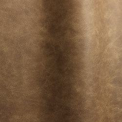Etna 16138 | Natural leather | Futura Leathers