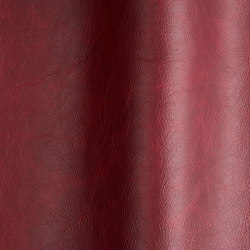 Etna 16160 | Colour red | Futura Leathers