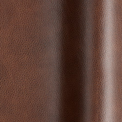 Fabiano Brandy | Colour brown | Futura Leathers