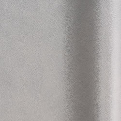 Fabiano Ombra | Colour grey | Futura Leathers