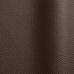 Horizonte 710 | Colour brown | Futura Leathers