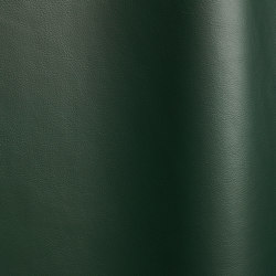 Lena 5454 | Colour green | Futura Leathers