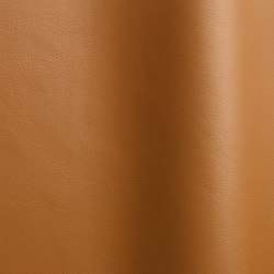 Lena 5478 | Natural leather | Futura Leathers