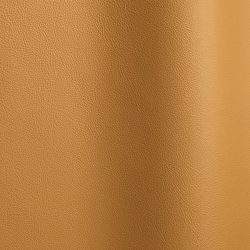 Lena 6677 | Natural leather | Futura Leathers
