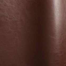Luxor 1009 | Natural leather | Futura Leathers