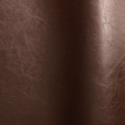Luxor 1010 | Colour brown | Futura Leathers