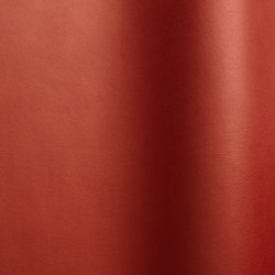 Luxury 9112 | Colour red | Futura Leathers
