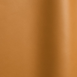 Nappa Leder 10032 | Natural leather | Futura Leathers
