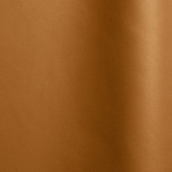 Nappa Leder 10040 | Natural leather | Futura Leathers