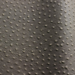 Ostrich | Colour grey | Futura Leathers