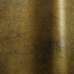 Pallas 1154 | Colour brown | Futura Leathers