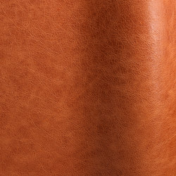 Pista Arabesque | Natural leather | Futura Leathers