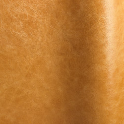 Pista Orange | Natural leather | Futura Leathers