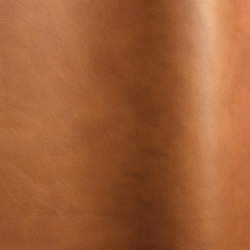 Ranch 7081 | Natural leather | Futura Leathers