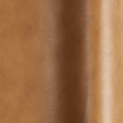 Ranch 7085 | Colour brown | Futura Leathers