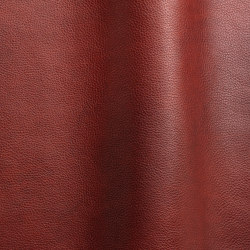 Reale 11044 | Colour red | Futura Leathers