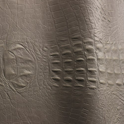Reptile | Colour grey | Futura Leathers