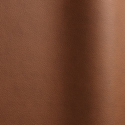 Sierra 1609 TT | Natural leather | Futura Leathers
