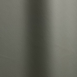 Sierra 4460 | Natural leather | Futura Leathers
