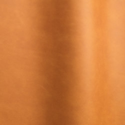 Silk 0565 | Colour orange | Futura Leathers