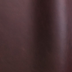 Silk 0738 | Natural leather | Futura Leathers